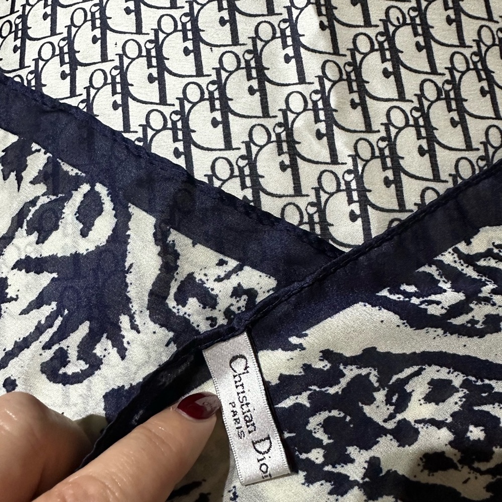 Dior scarf large